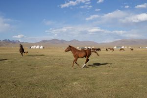 central asia kirghizistan stefano majnosong kul horse running.jpg